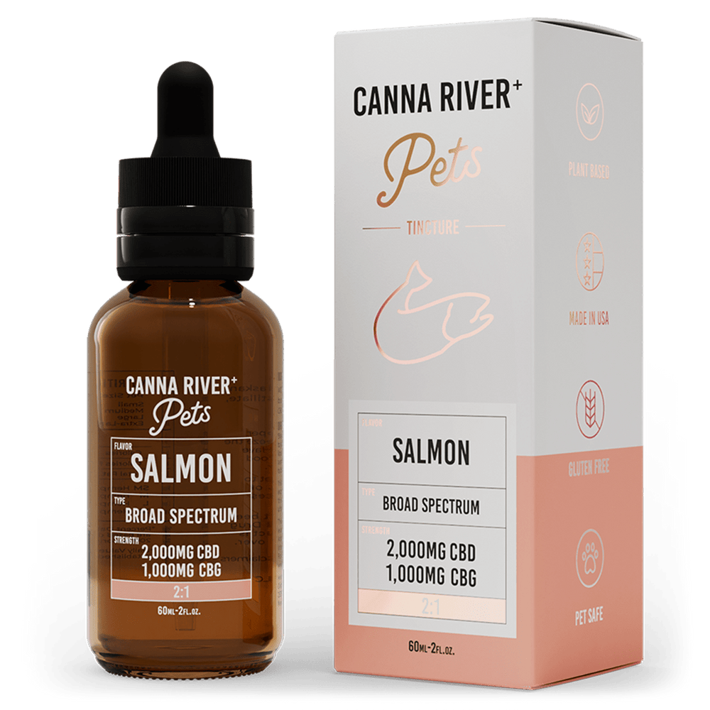 CBD For Cats & Dogs | Broad Spectrum Pet CBD Oil Tincture | Canna